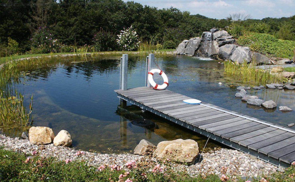 Stege im Schwimmteich