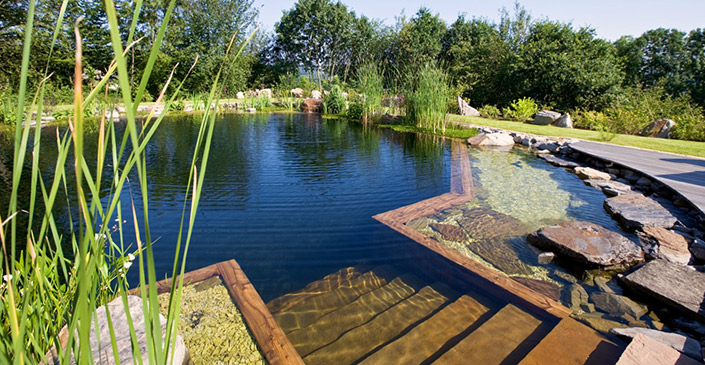 Der Schwimmteich Wohlfuehloase Im Garten schwimmteiche brakelmann garten und landschaftsbau Der Schwimmteich Wohlfuehloase Im Garten schwimmteiche brakelmann garten und landschaftsbau