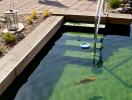 Schwimmteich 1