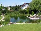 Schwimmteich