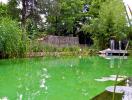 Nietfeld Garten-, Landschafts- und Teichbau