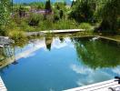 Schwimmteich