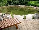 Gartenteich 4