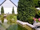 Schwimmteich