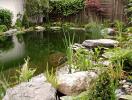 Gartenteich 7