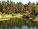 Gartenteich 3