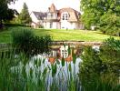 Gartenteich 8