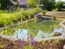 Gartenteich 5