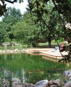 Schwimmteich mit Pflanzen zur Zierde und Reinigung