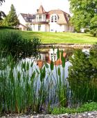 Naturpool optimal integriert