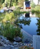 Gepflegter Schwimmteich im Sommer