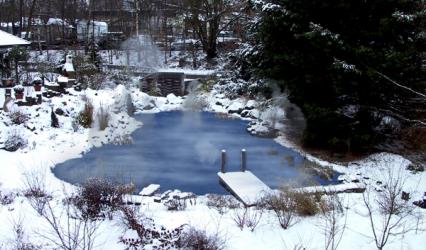 Auch in der kalten Jahreszeit können Sie sich am eigenen Schwimmteich erfreuen