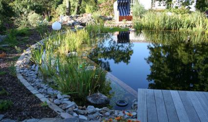 Gepflegter Schwimmteich im Sommer