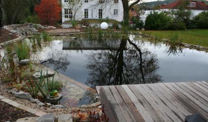 Gepflegter Schwimmteich im Herbst