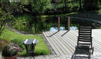 Klares, sauberes Wasser im Schwimmteich 