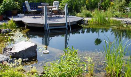 Schwimmteich mit abgetrenntem Reinigungsbereich
