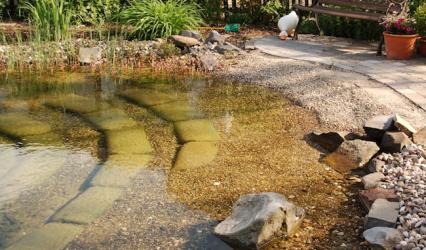 Steintreppe im Schwimmteich