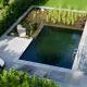 Naturpool im Frühling