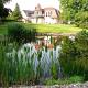 Naturpool optimal integriert