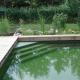 Integrierte Treppe im Schwimmteich