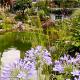 Schwimmteich mit abgetrenntem Reinigungsbereich