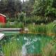 Schwimmteich mit natürlicher Reinigungszone