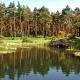 Schwimmteich mit vielen Vegetationszonen