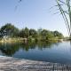 Der Schwimmteich als Ruhepool für die Seele
