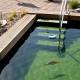 Treppe im Naturpool