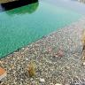Schwimmteich mit Holzwandelementen