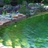 Schwimmteich mit kristallklarem Wasser
