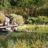 Schwimmteich mit natürlichem Ambiente