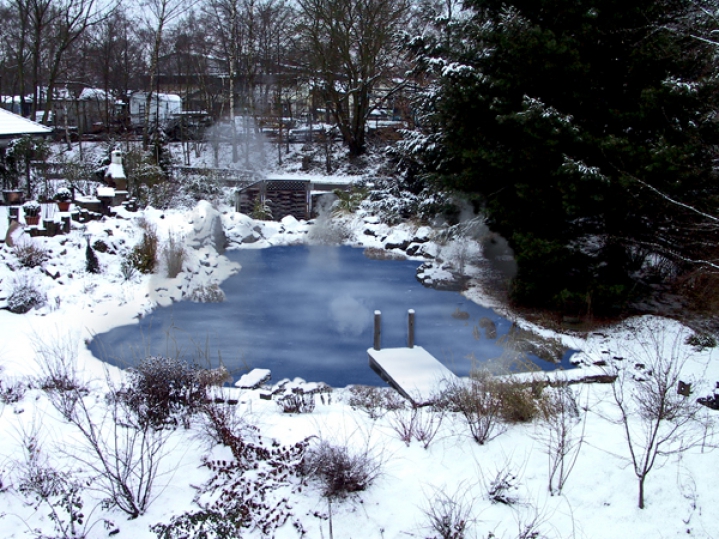 Auch in der kalten Jahreszeit können Sie sich am eigenen Schwimmteich erfreuen