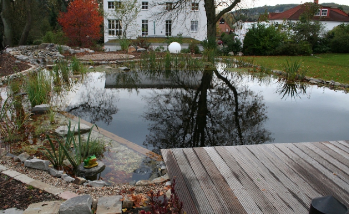 Gepflegter Schwimmteich im Herbst