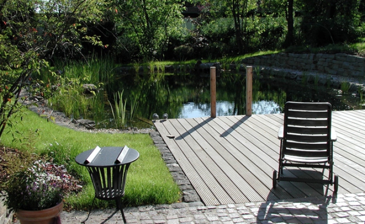 Klares, sauberes Wasser im Schwimmteich 