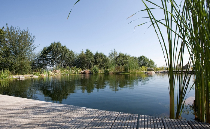 Der Schwimmteich als Ruhepool für die Seele]