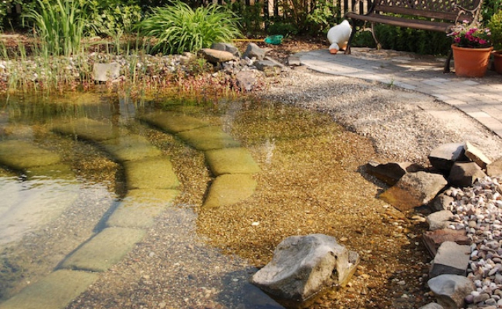 Steintreppe im Schwimmteich