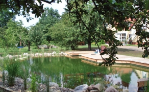 Schwimmteich mit Pflanzen zur Zierde und Reinigung