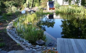 Gepflegter Schwimmteich im Sommer