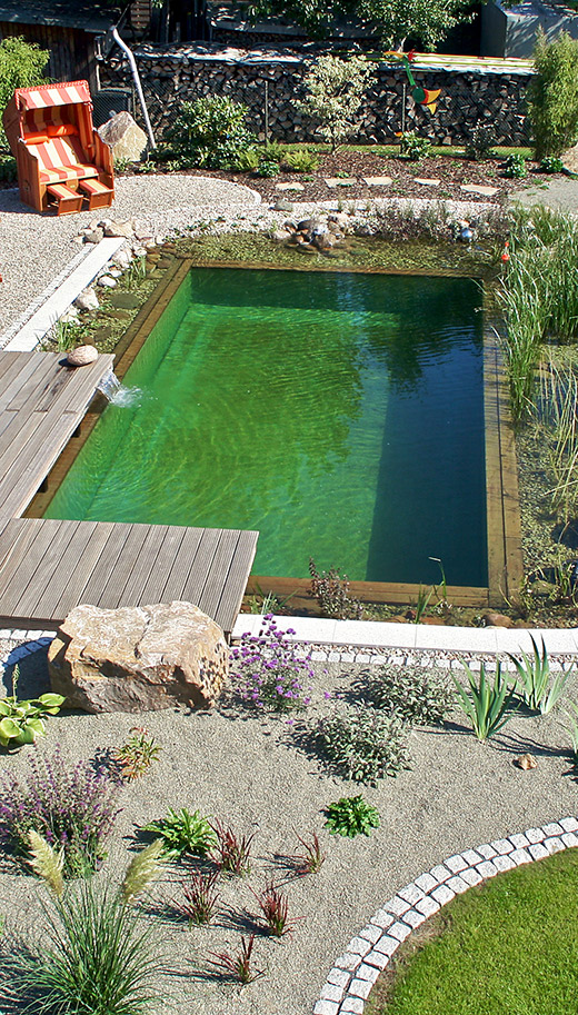 Naturpool-Wohlfühloase mit Farbakzenten - Naturpool