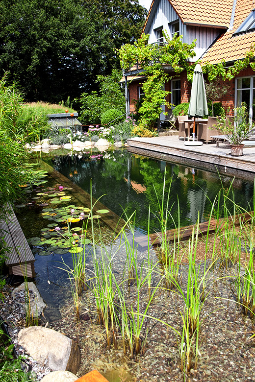 Wasser direkt am Wohnzimmer - Naturpool