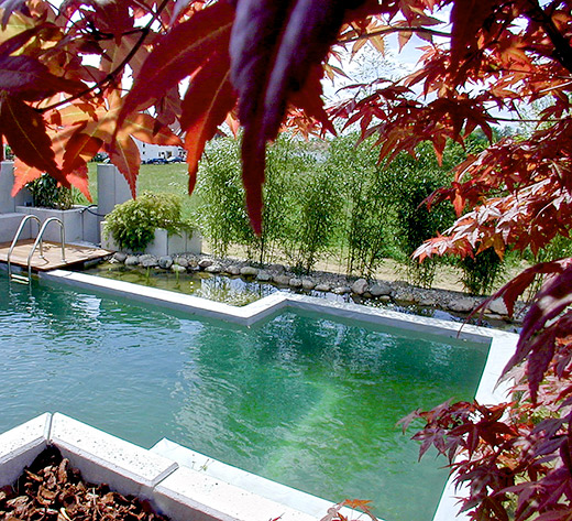 Formal architektonisch und trotzdem natürlich - Naturpool