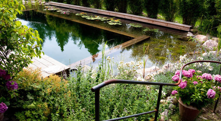 Wir bauen Naturpools und Schwimmteiche in der Lüneburger Heide