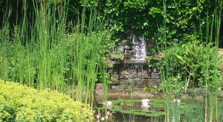 Schwimmteich mit kristallklarem Wasser