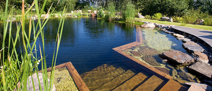 Badespaß ganz ohne Chlor in Naturpool und Schwimmteich