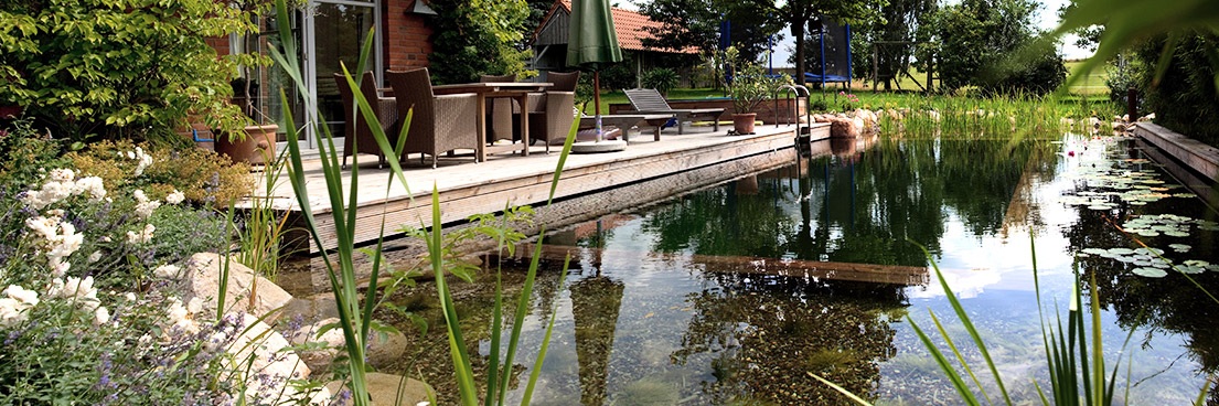 Erfolgreich gebauter Schwimmteich und Badeteich