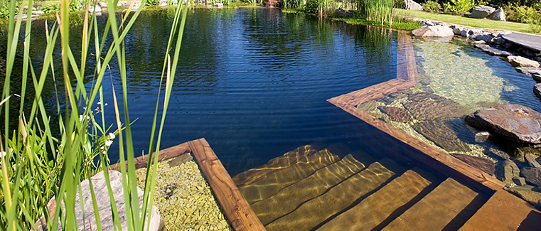 Naturpool, Biopool und Schwimmteich Portal