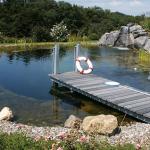 Holzsteg im Schwimmteich